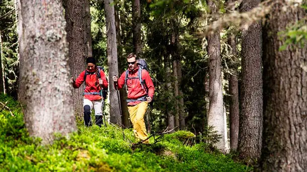 ferrino-dry-hike-32-backpack-2017-photo-1