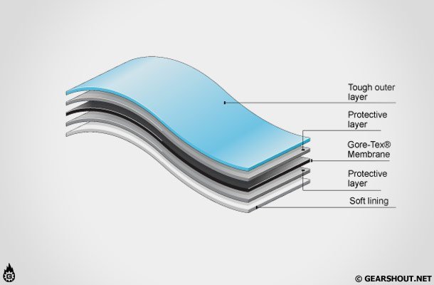 membrane