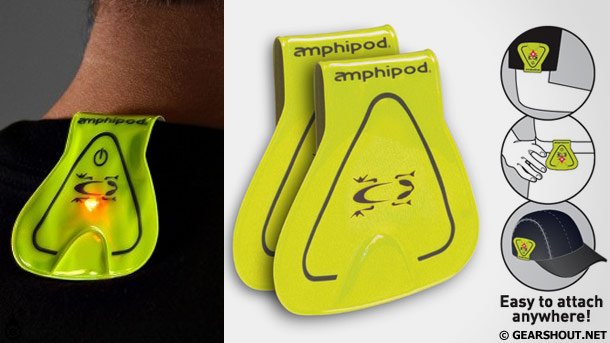 Amphipod-visibility-photo-2