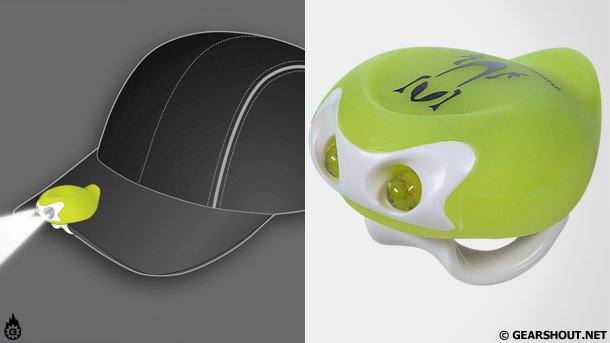 Amphipod-visibility-photo-3 Amphipod-visibility-photo-3