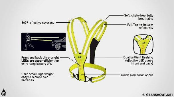 Amphipod-visibility-photo-4 Amphipod-visibility-photo-4