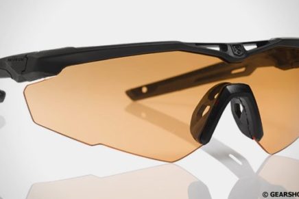 Баллистические очки Revision StingerHawk