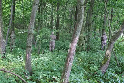 camo-test-forest-photo-1-436x291