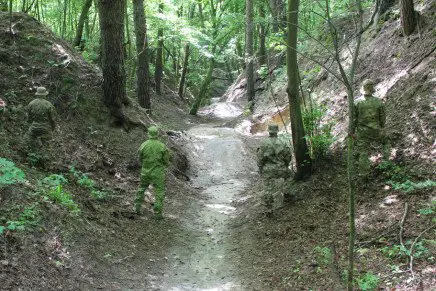 camo-test-forest-road-photo-1-436x291