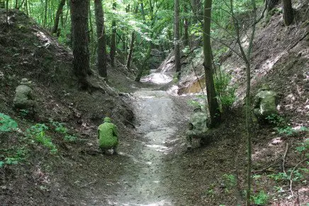 camo-test-forest-road-photo-2-436x291