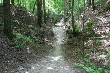 camo-test-forest-road-photo-3-436x291