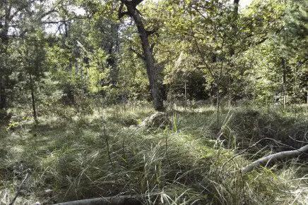 Ataka-Gadyuka-photo-15-436x291