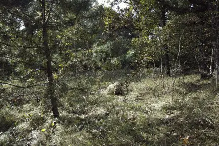 Ataka-Gadyuka-photo-16-436x291