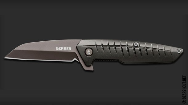 Gerber-Razorfish-photo-2