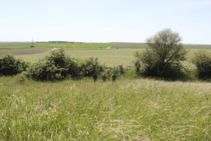 Сравнительный тест камуфляжей MultiCam (MultiCam, MultiCam Arid, MultiCam Tropic) camo-test-multicam-2015-field-photo-1-436x291