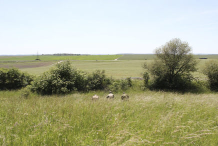 Сравнительный тест камуфляжей MultiCam (MultiCam, MultiCam Arid, MultiCam Tropic) camo-test-multicam-2015-field-photo-12-436x291