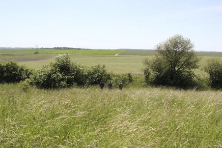 Сравнительный тест камуфляжей MultiCam (MultiCam, MultiCam Arid, MultiCam Tropic) camo-test-multicam-2015-field-photo-3-436x291