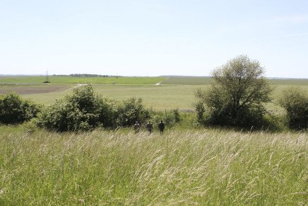 Сравнительный тест камуфляжей MultiCam (MultiCam, MultiCam Arid, MultiCam Tropic) camo-test-multicam-2015-field-photo-5-436x291