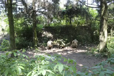 Сравнительный тест камуфляжей MultiCam (MultiCam, MultiCam Arid, MultiCam Tropic) camo-test-multicam-2015-forest-hill-photo-4-436x291