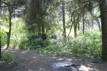 Сравнительный тест камуфляжей MultiCam (MultiCam, MultiCam Arid, MultiCam Tropic) camo-test-multicam-2015-forest-photo-1-436x291