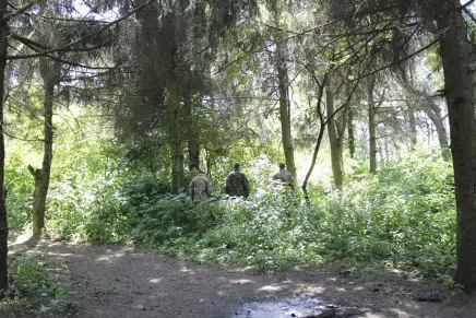 Сравнительный тест камуфляжей MultiCam (MultiCam, MultiCam Arid, MultiCam Tropic) camo-test-multicam-2015-forest-photo-3-436x291