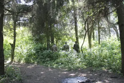 Сравнительный тест камуфляжей MultiCam (MultiCam, MultiCam Arid, MultiCam Tropic) camo-test-multicam-2015-forest-photo-5-436x291