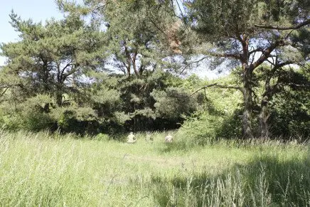 Сравнительный тест камуфляжей MultiCam (MultiCam, MultiCam Arid, MultiCam Tropic) camo-test-multicam-2015-near-forest-photo-4-436x291