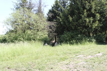 Сравнительный тест камуфляжей MultiCam (MultiCam, MultiCam Arid, MultiCam Tropic) camo-test-multicam-2015-near-forest-photo-8-436x291