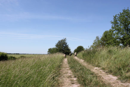 Сравнительный тест камуфляжей MultiCam (MultiCam, MultiCam Arid, MultiCam Tropic) camo-test-multicam-2015-road-photo-10-436x291