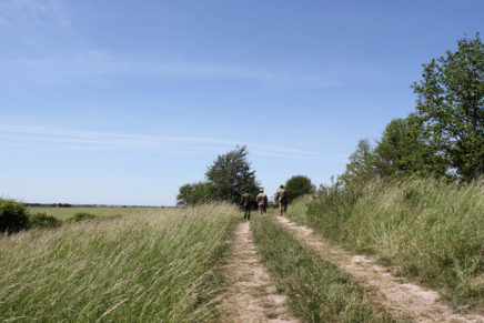 Сравнительный тест камуфляжей MultiCam (MultiCam, MultiCam Arid, MultiCam Tropic) camo-test-multicam-2015-road-photo-11-436x291