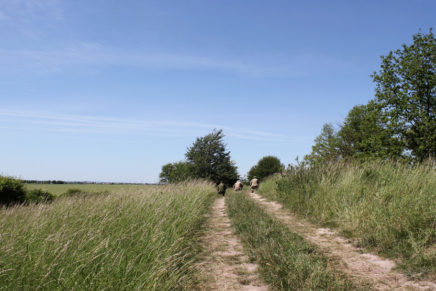Сравнительный тест камуфляжей MultiCam (MultiCam, MultiCam Arid, MultiCam Tropic) camo-test-multicam-2015-road-photo-12-436x291