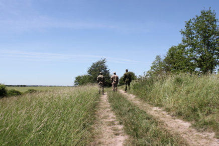 Сравнительный тест камуфляжей MultiCam (MultiCam, MultiCam Arid, MultiCam Tropic) camo-test-multicam-2015-road-photo-13-436x291