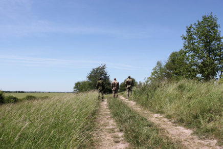 Сравнительный тест камуфляжей MultiCam (MultiCam, MultiCam Arid, MultiCam Tropic) camo-test-multicam-2015-road-photo-15-436x291