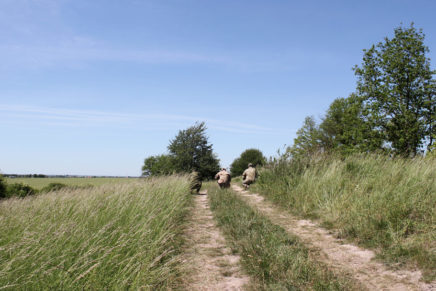 Сравнительный тест камуфляжей MultiCam (MultiCam, MultiCam Arid, MultiCam Tropic) camo-test-multicam-2015-road-photo-16-436x291