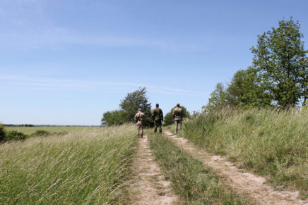 Сравнительный тест камуфляжей MultiCam (MultiCam, MultiCam Arid, MultiCam Tropic) camo-test-multicam-2015-road-photo-17-436x291