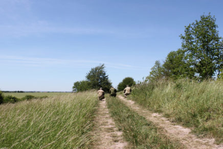 Сравнительный тест камуфляжей MultiCam (MultiCam, MultiCam Arid, MultiCam Tropic) camo-test-multicam-2015-road-photo-18-436x291