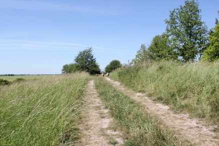 Сравнительный тест камуфляжей MultiCam (MultiCam, MultiCam Arid, MultiCam Tropic) camo-test-multicam-2015-road-photo-2-436x291