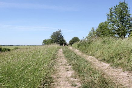 Сравнительный тест камуфляжей MultiCam (MultiCam, MultiCam Arid, MultiCam Tropic) camo-test-multicam-2015-road-photo-3-436x291