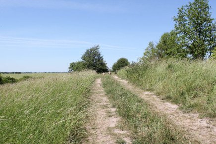 Сравнительный тест камуфляжей MultiCam (MultiCam, MultiCam Arid, MultiCam Tropic) camo-test-multicam-2015-road-photo-4-436x291