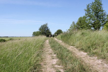 Сравнительный тест камуфляжей MultiCam (MultiCam, MultiCam Arid, MultiCam Tropic) camo-test-multicam-2015-road-photo-5-436x291