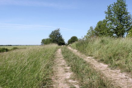 Сравнительный тест камуфляжей MultiCam (MultiCam, MultiCam Arid, MultiCam Tropic) camo-test-multicam-2015-road-photo-6-436x291