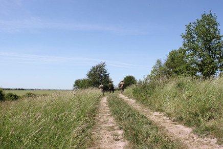 Сравнительный тест камуфляжей MultiCam (MultiCam, MultiCam Arid, MultiCam Tropic) camo-test-multicam-2015-road-photo-7-436x291