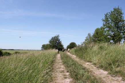 Сравнительный тест камуфляжей MultiCam (MultiCam, MultiCam Arid, MultiCam Tropic) camo-test-multicam-2015-road-photo-8-436x291