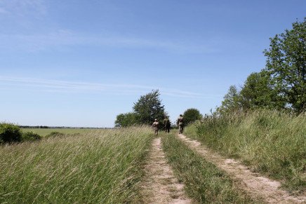 Сравнительный тест камуфляжей MultiCam (MultiCam, MultiCam Arid, MultiCam Tropic) camo-test-multicam-2015-road-photo-9-436x291