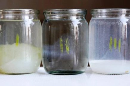 Coagulation-Water-Giacint-photo-14-436x291