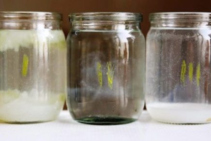 Coagulation-Water-Giacint-photo-15-436x291