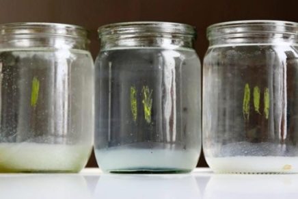 Coagulation-Water-Giacint-photo-16-436x291