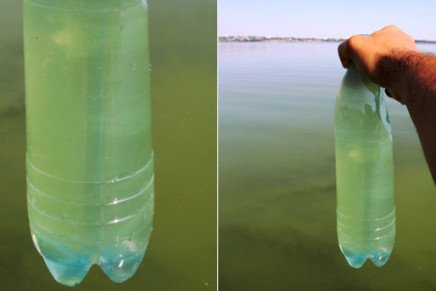 Coagulation-Water-Giacint-photo-7-436x291