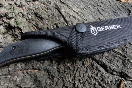 Gerber-Moment-photo-10-436x291