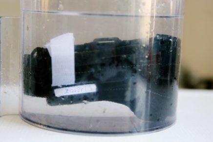 sich-turniket-photo-17-436x291