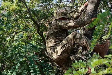 Детальный обзор нового летнего полевого костюма для ВСУ New-Uniform-of-Armed-Forces-of-Ukraine-photo-16-436x291