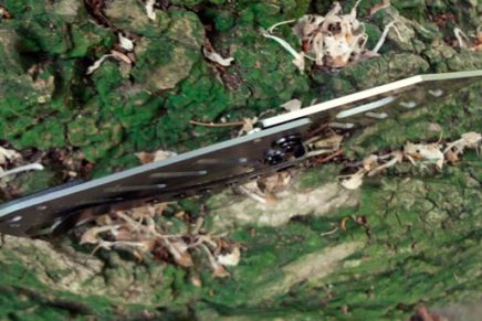 Ознакомительный обзор складного карманного ножа Böker Plus Credit Card Knife Boker-Plus-Credit-Card-Knife-Review-2016-photo-14-436x291