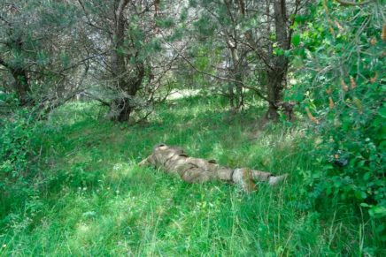 Знакомство с военно-полевой униформой P1G-Tac FCS (Frogman Combat Suit) P1G-Tac-FCS-Frogman-Combat-Suit-Reviev-2016-photo-25-436x291