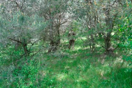 Знакомство с военно-полевой униформой P1G-Tac FCS (Frogman Combat Suit) P1G-Tac-FCS-Frogman-Combat-Suit-Reviev-2016-photo-27-436x291