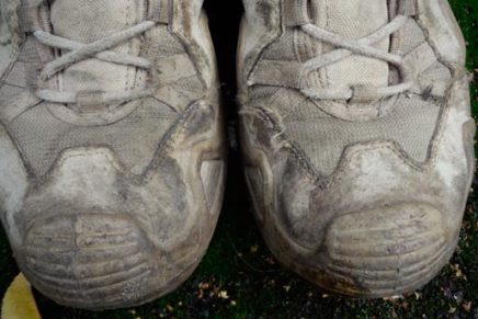 Завершающий обзор ботинок LOWA Zephyr MID TF, после четырёх лет эксплуатации LOWA-Zephyr-MID-TF-2016-photo-12-436x291